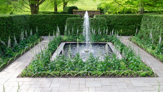 A single fountain rises up in a square pool surrounded by spikes of white blooms that look like fountains.