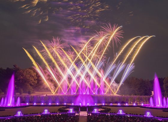 pink, purple, and gold bursts of fireworks fill the sky and stream upwards from the ground behind vibrant purple and pink fountains