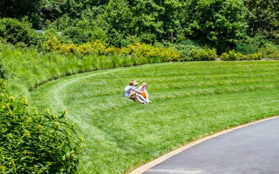 Two people sit along levels of freshly cut grass in the summer with green tress behind