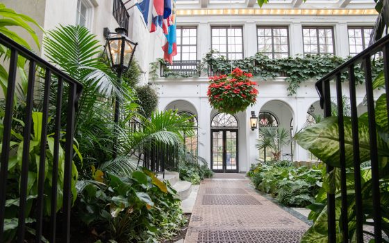 A hanging basket is seen in the distance in a small house conservatory with green plants, metal railings, and a lamppost
