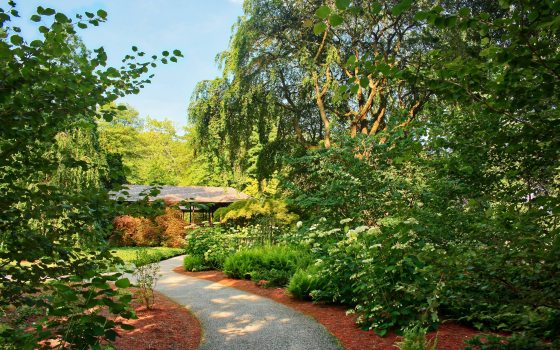 A path winds through a walkway of green trees and bushes
