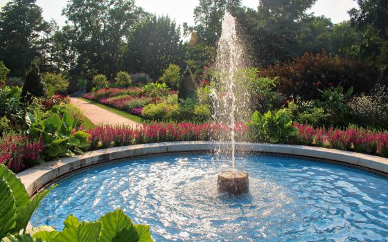 Sun shines on a circular fountain with a brick pathway in the background leading through green garden beds