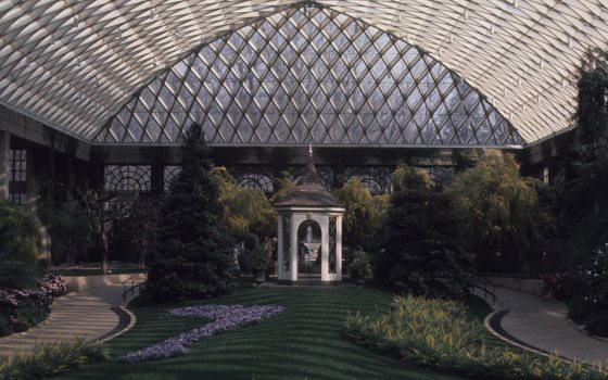 historical photo of a greenhouse with a fountain in the middle