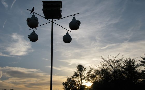 a birdhouse during dusk hours with a blue and cloudy sky 