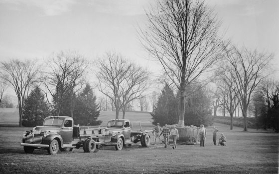 black and white historical image of seven people around the rootball of a large tree, behind two old-style pickup trucks