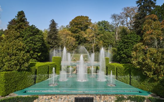 partially overhead view of fountain jets shooting up from a sea green stage, against a backdrop of tall green trees