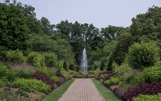 A brick path leading to a circular fountain with garden beds on each side.