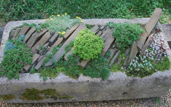 A stone block filled with small plantings.