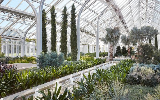 Cypress and Bismarkia trees rise above low planting beds and a central runnel