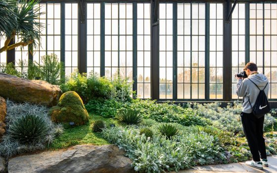 A person inside a conservatory taking photos of plants.
