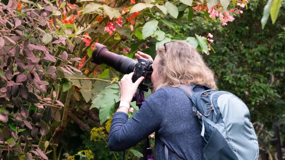A photographer uses a long lens to capture a closeup of a flower.