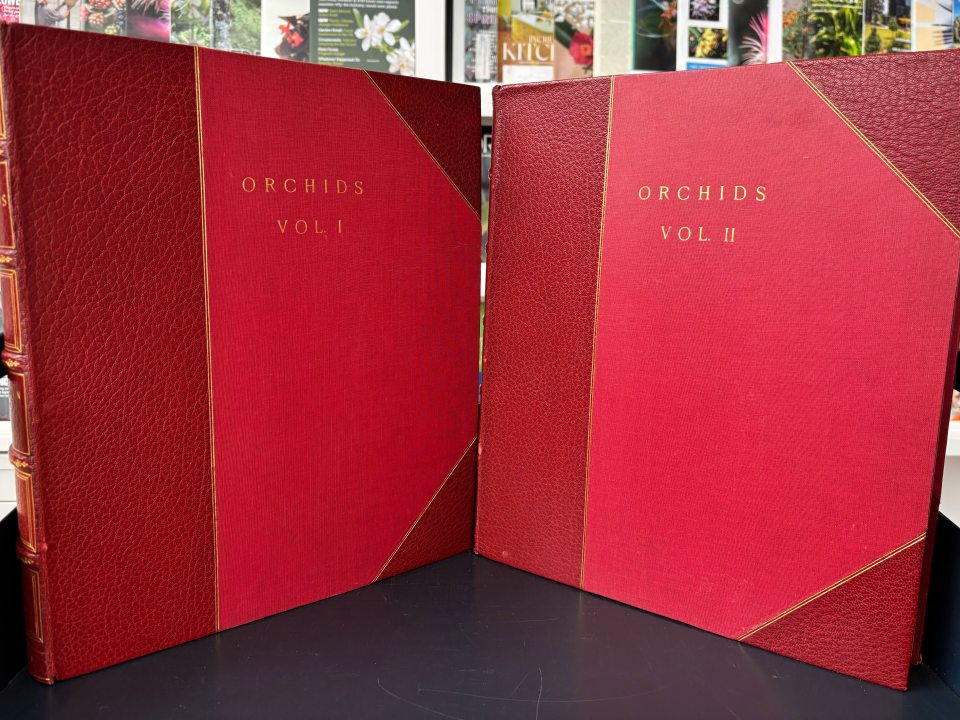 Two large red books, standing up, with the title "Orchids" in gold lettering.