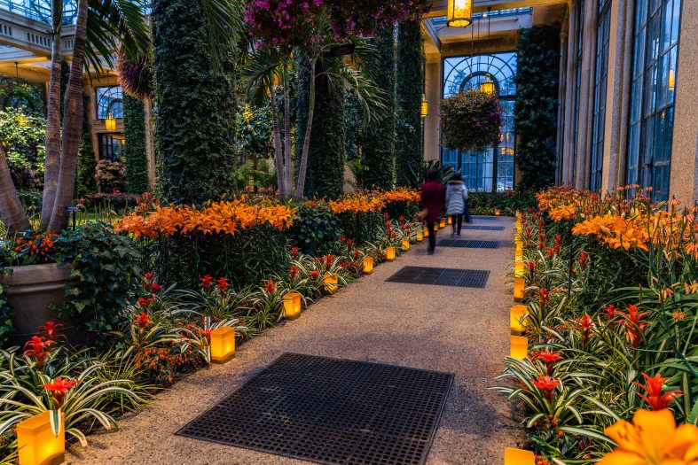 Two people walk down a pathway lined with garden beds and gold glowing luminary boxes in a glass conservatory