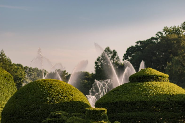 Green domed topiaries sit in the foreground with fountain in the background