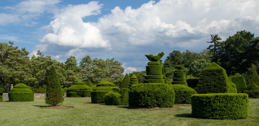 clipped green topiary in many shapes under a bright blue sky with puffy white clouds