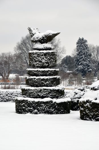 snow covers a layered topiary topped with a clipped bird shape
