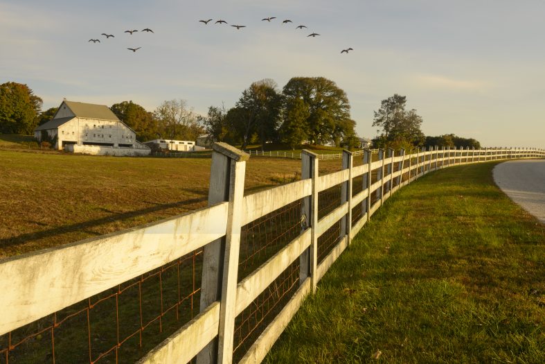 A white wooden fence beside an idyllic landscoe and alongside a paved road.