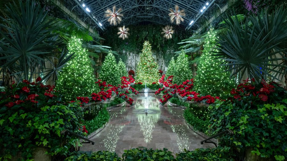 Holiday display in the Exhibition Hall of the Conservatory featuring a sunken reflecting pool flanked by large green palms and red poinsettias, leading to a brightly lit Christmas tree with star-shaped lights suspended overhead.