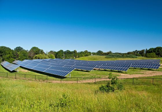 Wide view of a field of solar panels