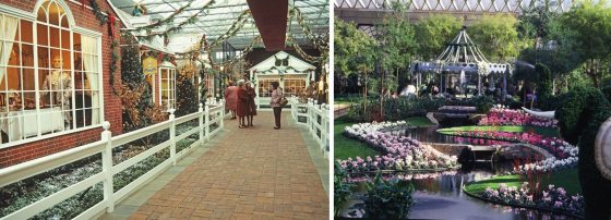 Two vintage images of the Conservatory at Longwood during Christmas.