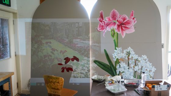 A floral image being projected onto a white wall.