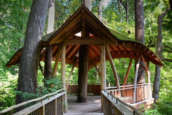 image of the Lookout Loft Treehouse along the Forest Walk with green trees in the background