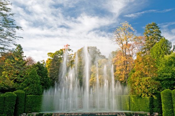symmetrical fountain jets shooting into the air against a backdrop of trees in fall color
