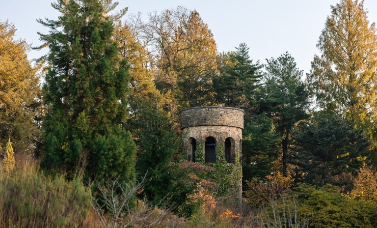 A fall foliage scene with a stone tower in the background.