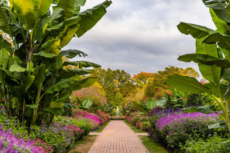a brick pathway lined with blooming garden beds