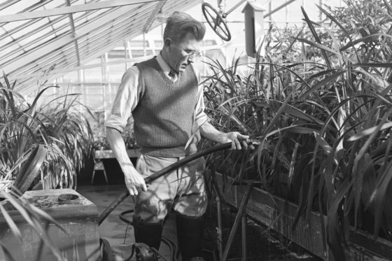black and white photo of a man watering orchids